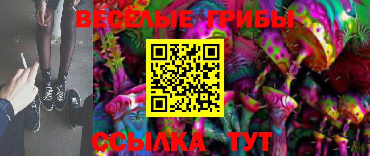 Избербаш  Псилоцибиновые грибы Magic Shrooms  даркнет сайт  Вход с VPN 